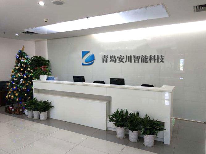 技術之光 劉蒙蒙與她的技術咨詢服務之道