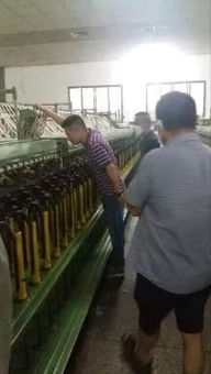 錦坤盈技術咨詢 匠心賦能，紡廠品質半年躍升“5%”水平